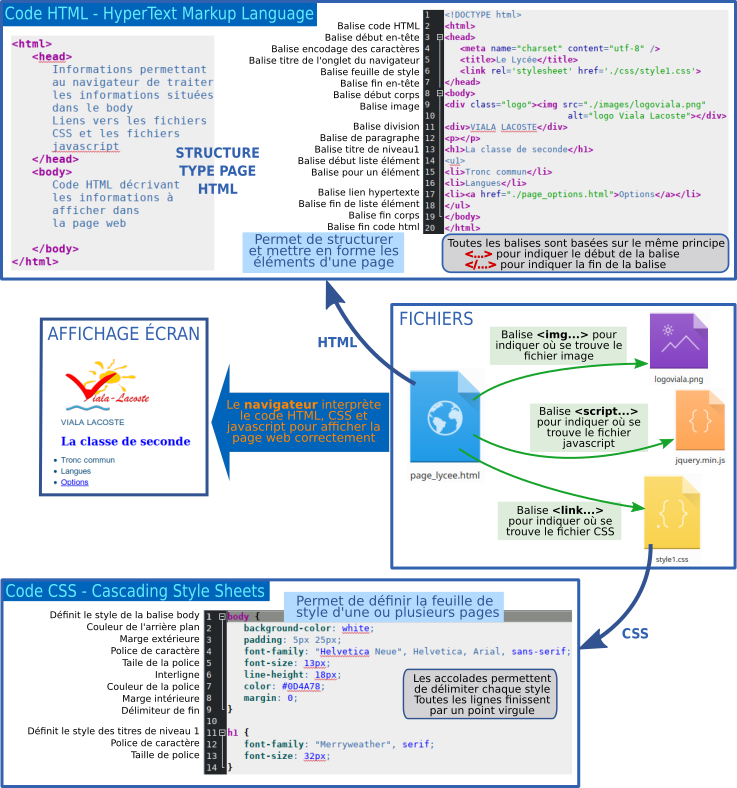 struct code html css