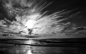image nuance gris