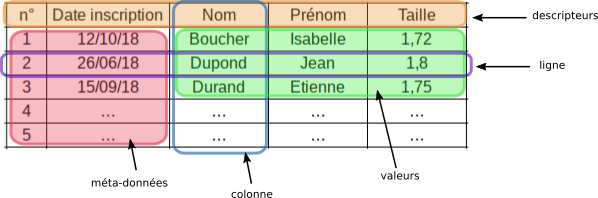 vocabulaire tableau donnees structurees