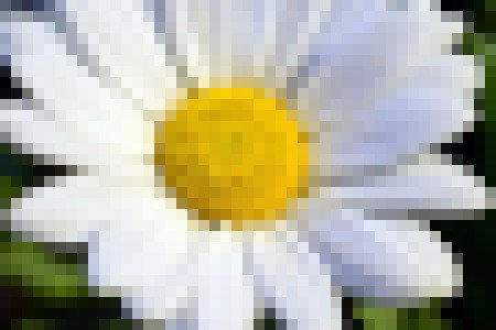 imageFleurPix
